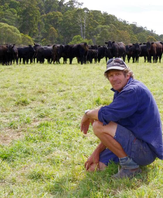 Jamie Walker, Mountain Maid Station, Omeo, will send 200 Angus weaner steers and heifers into the Omeo Black sale.