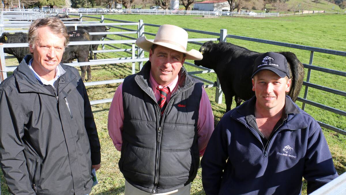 Mark Boileau, Bannister Station manager, Goulburn, NSW, Daniel Tarlinton, Elders Crookwell, NSW, and Sam Lucas, Reiland Angus, with the top-priced bull.