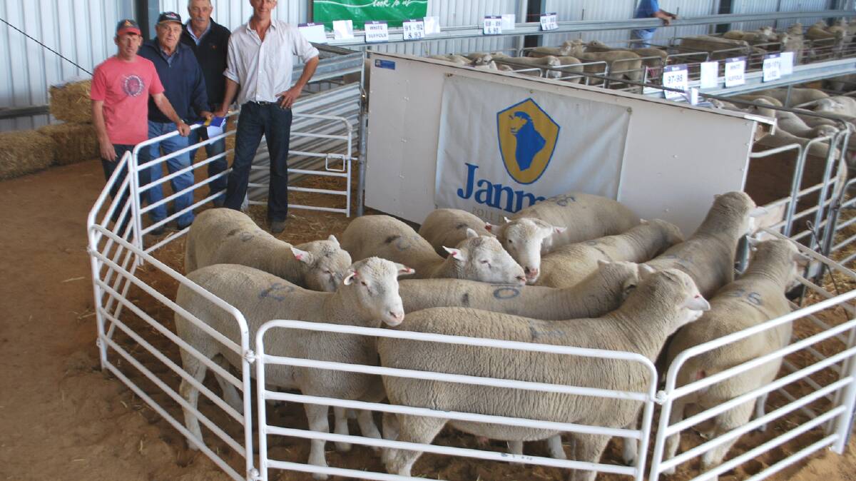 Janmac principals Bryce Hausler (left), regular buyer Steve DiGiorgio, S & R DiGiorgio & Sons, Naracoorte, South Australia, his PPH&S Naracoorte buying agent Robin Steen and Janmac’s Grant Hausler (right) inspect the 10 Poll Dorsets Mr DiGiorgio purchased.