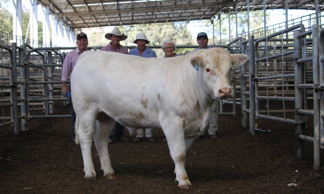 Michael and James Millner, Rosedale Charolais, with buyers Max and Joan Field, Kimberley, Tas, and Bruce Hyland, Roberts Ltd.