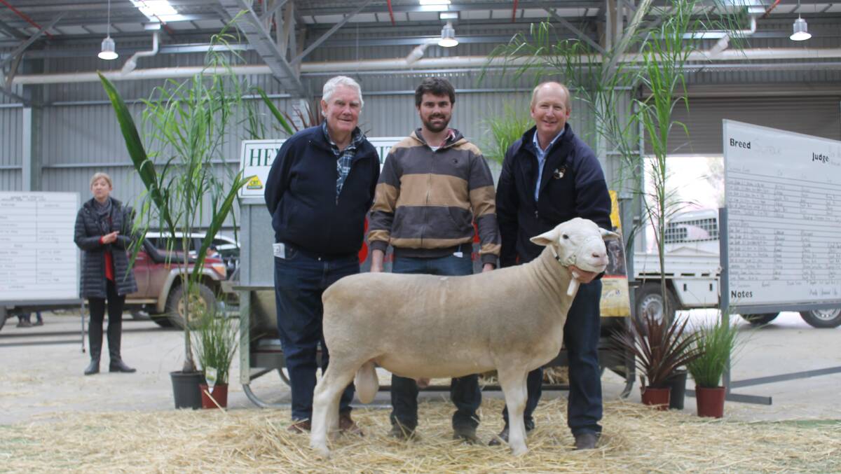 Robert Hooper and son Daniel, Vortex stud, Goorambat, secured the top-priced ram from Aroon Park. Pictured with its principal Peter Button.