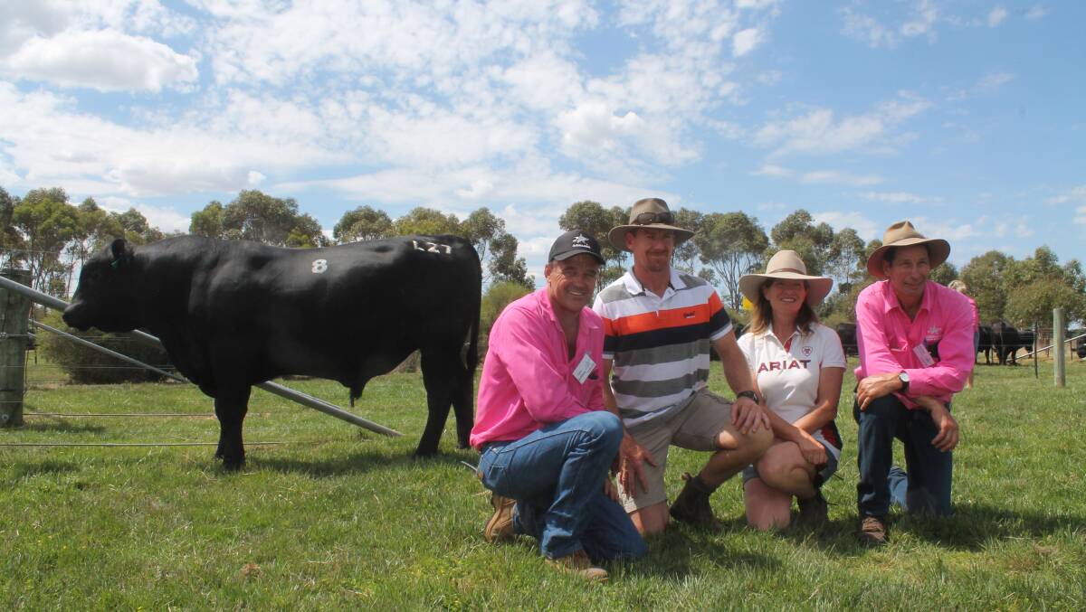 Stud sire: Te Mania co-principals Tom Gubbins and Hamish McFarlane flank Shane and Jodie Foster, Boonaroo Angus, Casterton, with the $30,000 top-priced bull. Photos: Laura Griffin