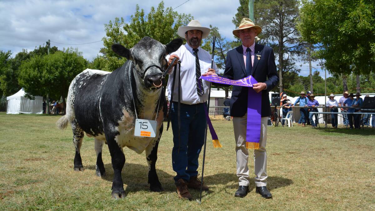 Greg Ebbeck, Bundanoon, with Stephen Beer, Bungendore, with the supreme interbreed beef cattle exhibit at the Royal Canberra Show.