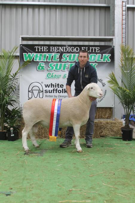 Damien Hawker, Omad stud, Kaniva, Vic, with his supreme White Suffolk exhibit. It showed structural correctness and a moderate type frame.