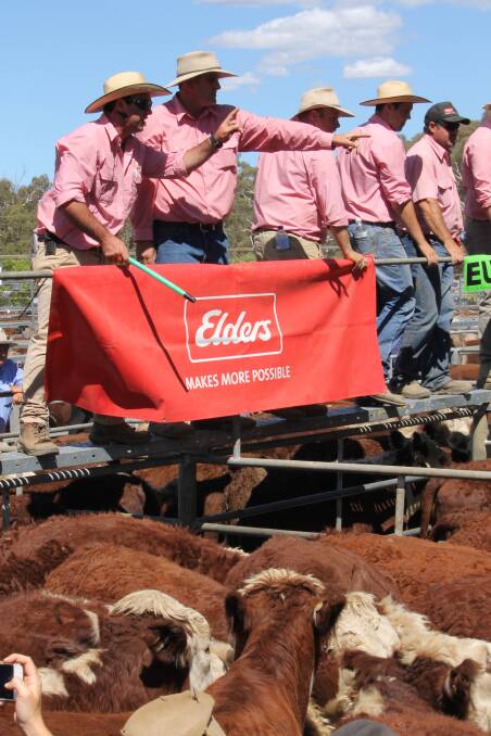 Morgan Davies (left) and David Hill, Elders Omeo, with the rest of the Elders sale team. Photo: Laura Griffin