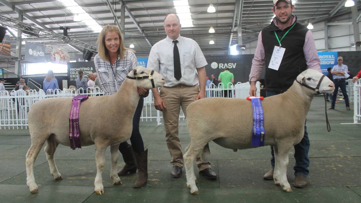 Lucy Prentice with Kurralea's reserve champion White Suffolk ram, judge Paul Day, and Reagan Kyle with Ashley park's champion White Suffolk ram.