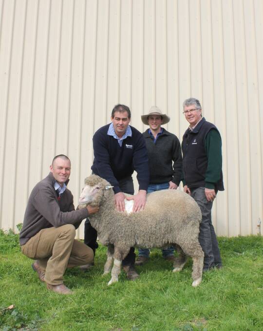 Simon Riddle and Phil Toland, both of Toland Poll Merinos, flank Jarrod Demarco, Rodwells, and Tim Cavill, Fox Pastoral Company, with last year's top-priced ram.