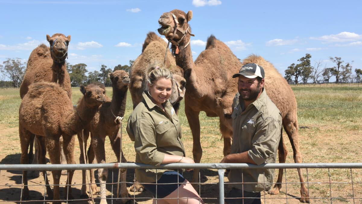 Megan and Chris Williams at their Kyabram camel dairy farm.