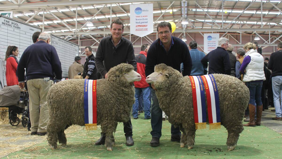 Luke Banks, co-stud manager, and Paul Walton, principal of Wurrook, with the grand champion ultrafine and grand champion fine ewe (that went onto win supreme exhibit).