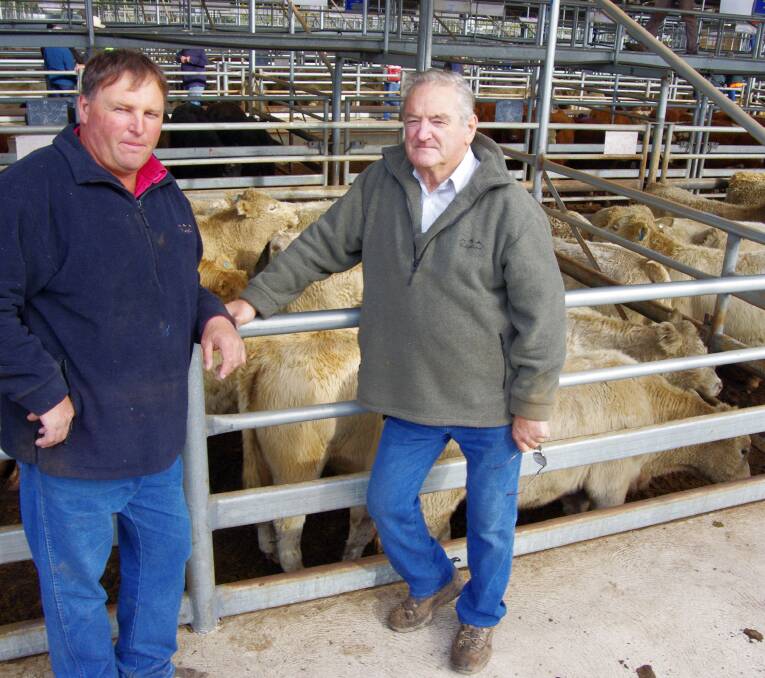 Damien and Tom Ventry, Deddick Springs, sold a line of Charolais weaners. The steers made to $1150 and heifers $962.