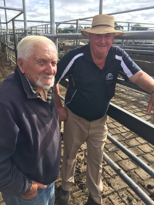 Keith Fenton, Mt Emu, sold 19 Shorthorn steers at Ballarat on Friday, where prices were up at January levels. He was discussing the market with Leo White, T B White & Sons.