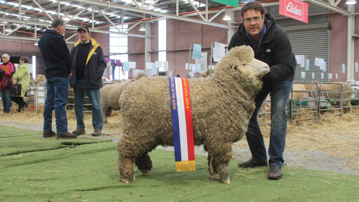 Paul Walton with Wurrook's grand champion superfine wool ewe.