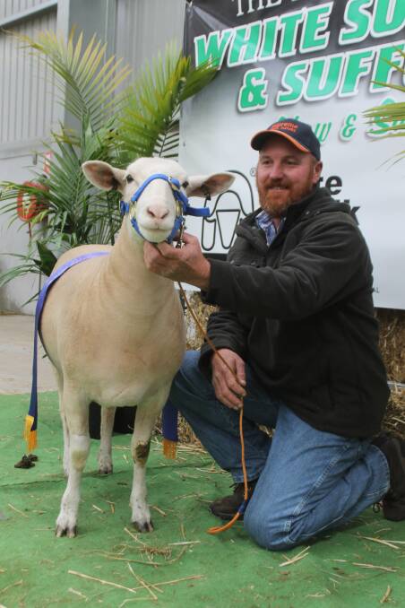 Scott Cameron, Supreme stud, Wellington, NSW, with his champion White Suffolk ewe.