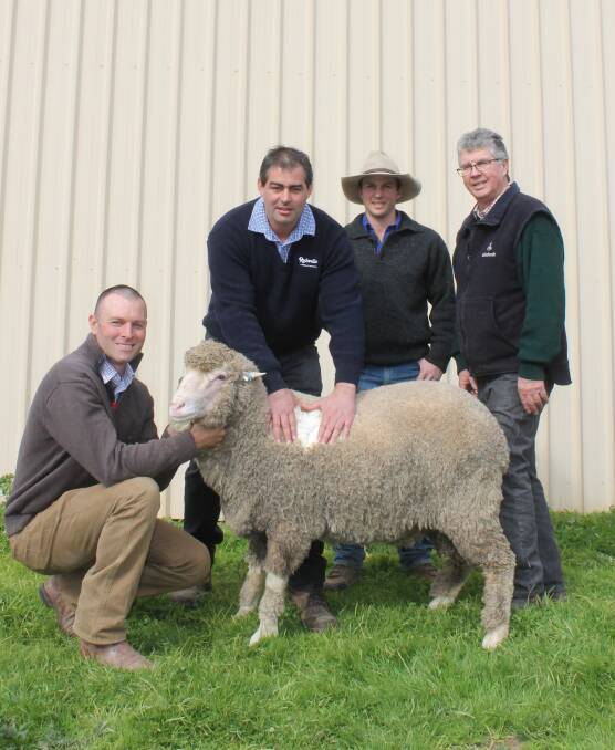 Simon Riddle and Phil Told, both of Toland Poll Merinos, Violet Town, flank Jarrod Demarco, Rodwells Mansfield, and Tim Cavill, Fox Pastoral Company's station hand.