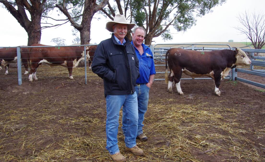 Alan Mitchell, Powlett Downs, Wonthaggi, bought the top-priced bull and is with Nunniong Herefords stud principal Philip 'Bluey' Commins.