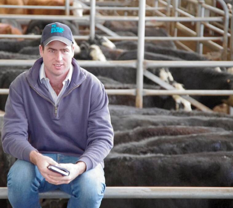 BUYING: Campbell Ross bought a line of heavier black cattle at Bairnsdale for interstate cartage.