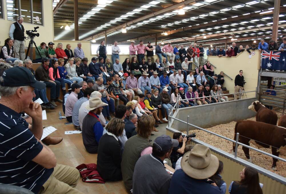 Competition time: A big crowd of family, friends and industry members fill out the selling arena to watch the Young Auctioneers Competition.