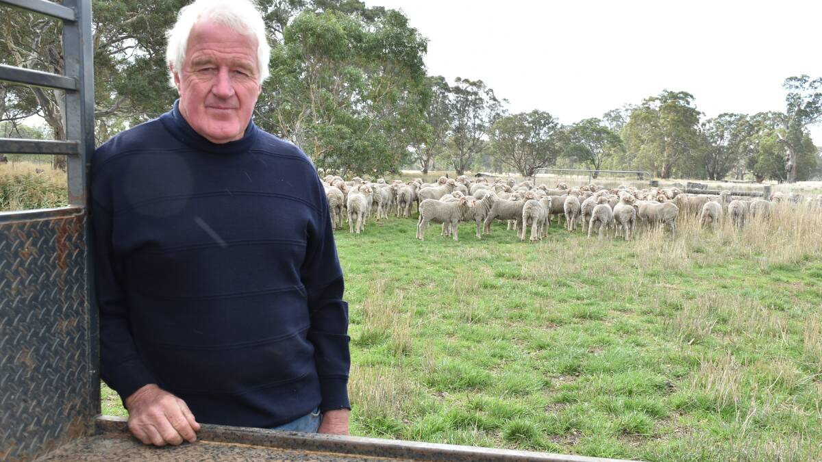 John Crawford is keen to defend the family's stud Rock-Bank's title at this year's Australian Sheep and Wool Show. He is pictured at the Victoria Valley farm recently. Photo by Joely Mitchell.