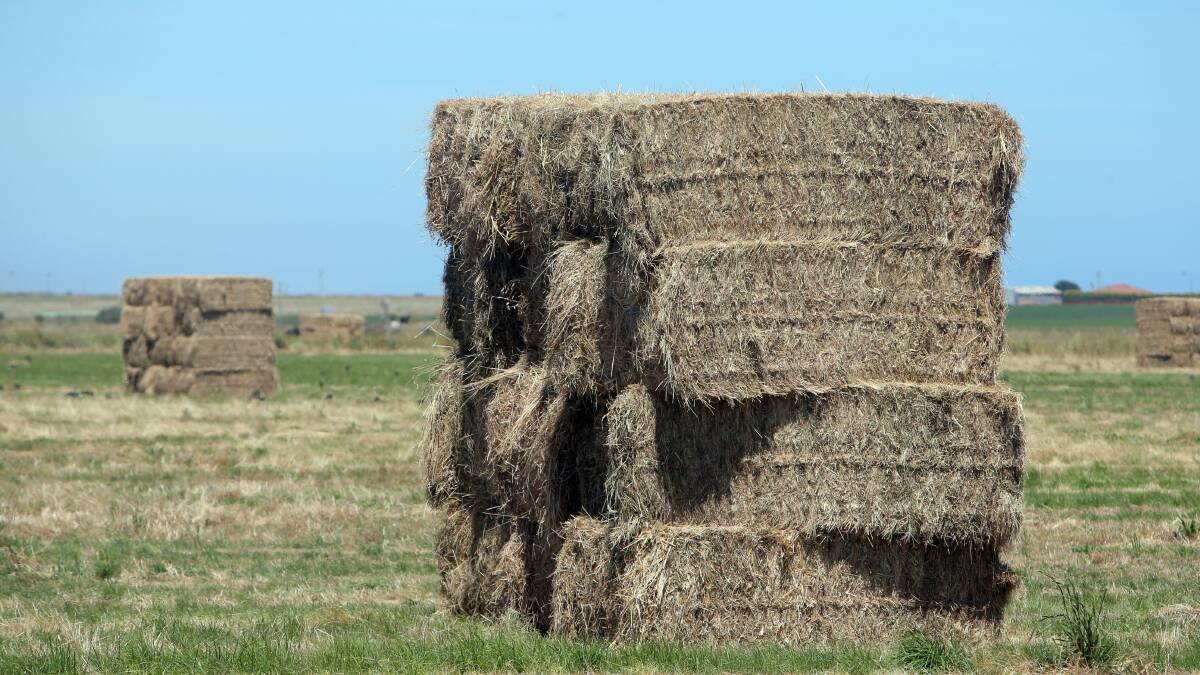 Northern Vic makes hay while sun shines