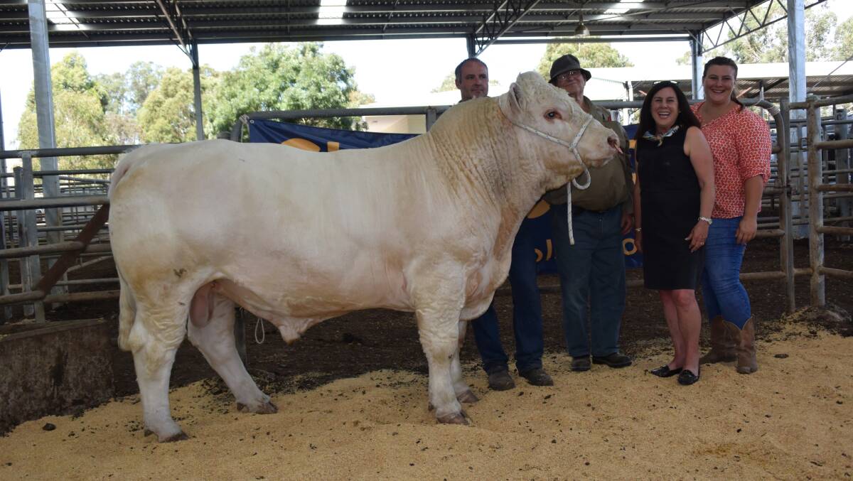 Paul Hourn, buyer Peter Bowman and vendors Deborah and Sapphire Hilliday, Waterford Charolais with the equal top-priced bull.