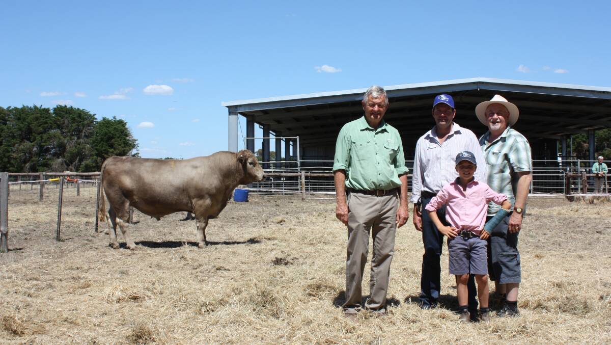 Andrew Sloan (left), Landmark; Craig Grant, Lindsay Murray Greys; Bernard Atkins, Atkins Livestock; and Josh Grant (front) with top-priced bull Lindsay Leader L11.
