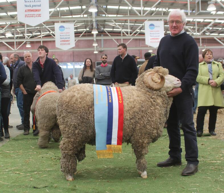 Rock-Bank's John Crawford said the grand champion ultrafine wool ram had a fair bit of wool that was very even and very soft. 