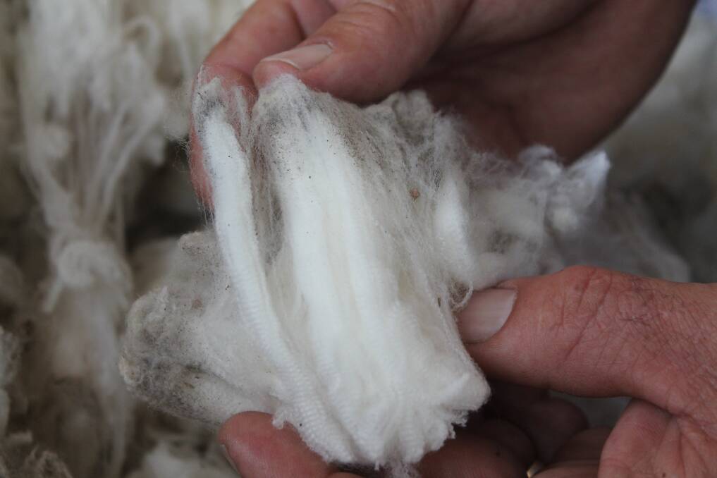Some of the Italian spinner style wool the family grows.