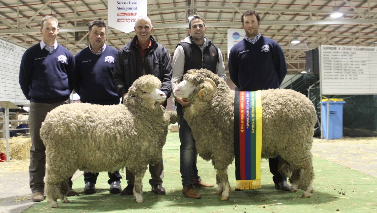 The Navanvale stud, Williams, WA, exhibited the winning national pair. With the stud's pair are judges Tim Dalla (left), Collinsville stud, Hallett, South Australia, Drew Chapman, Hinesville stud, Delegate, NSW, Navanvale stud principals Chris and Mitchell Hogg and judge Rohan Sprigg, East Strathglen stud, Tambellup, WA.