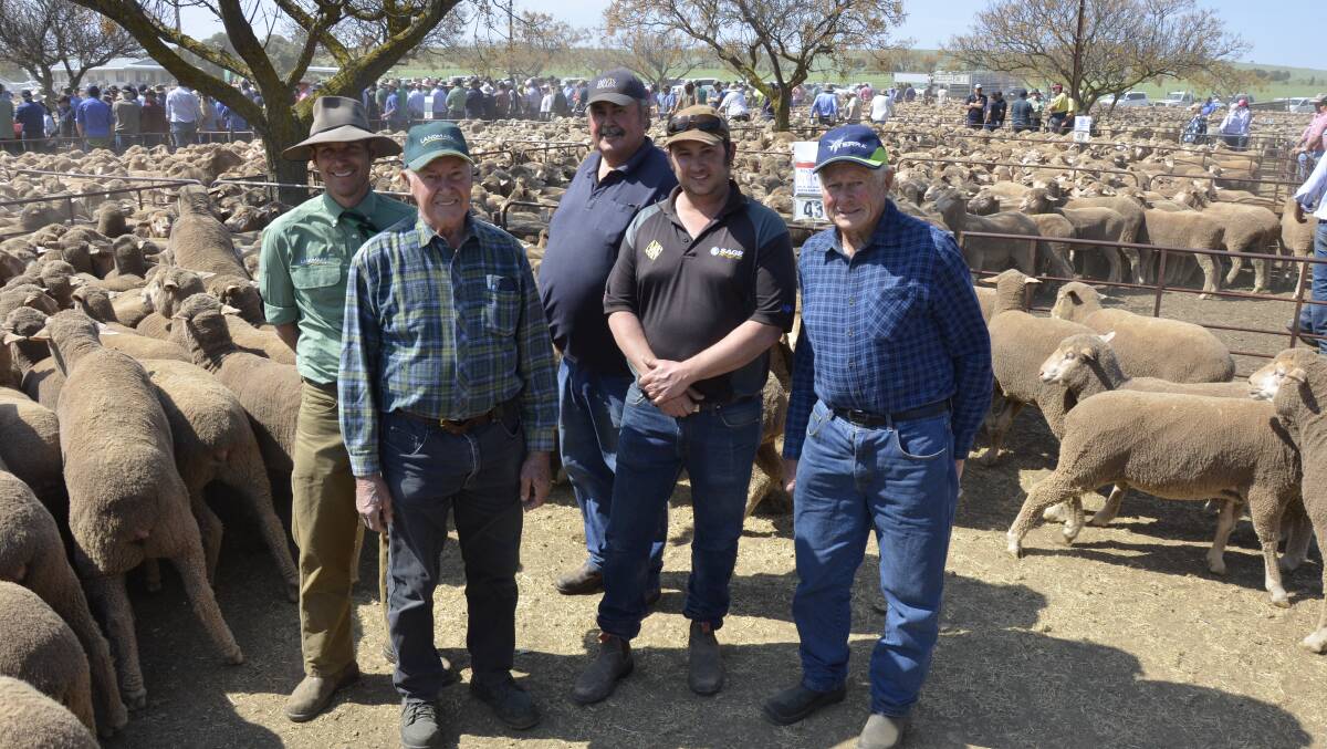Landmark's Glen Keast, buyer Dudley Koch, vendors Paul Thomas, his son David, and Keith Koch. Of the sale-toppers, Keith said, “They’re very good, plain, smooth ewes, with no wrinkles and clean faces."