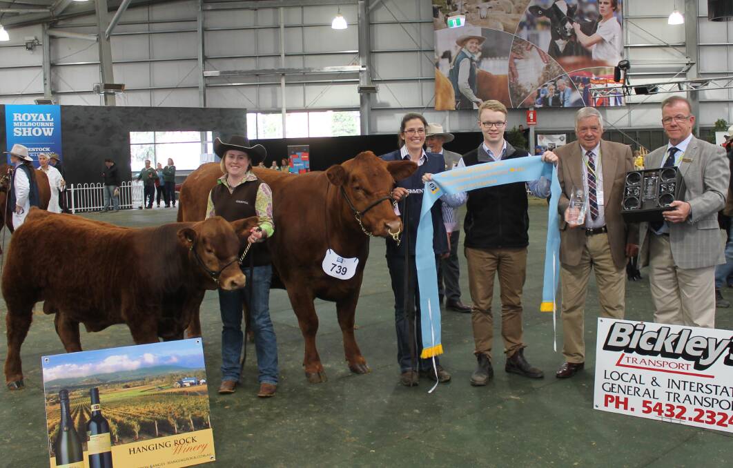 Top cow: Brooke Cuddihy and Lizzy Baker, Woonallee Simmentals, with Grant Coverdale, RASV, sponsor Jack Bickley, Bickley's Transport, and Mark O'Sullivan, RASV CEO.