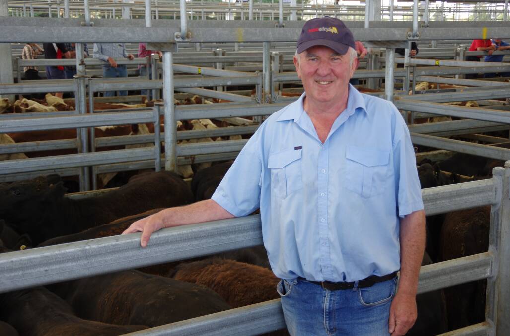 Peter (pictured) and Heather Linke, Rosedale, bought this pen of Angus steers, 358kg $1450, at Sale, from vendor B&A Ross, Stockdale.