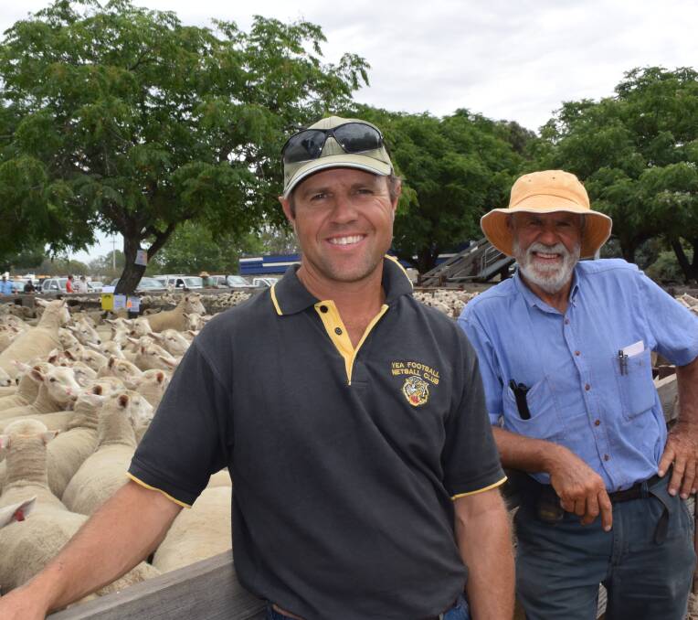 Tim and father Rob Hayes, Tarcombe Herefords, Tarcombe, with their first pen of 267 first-cross ewes that made $214.
