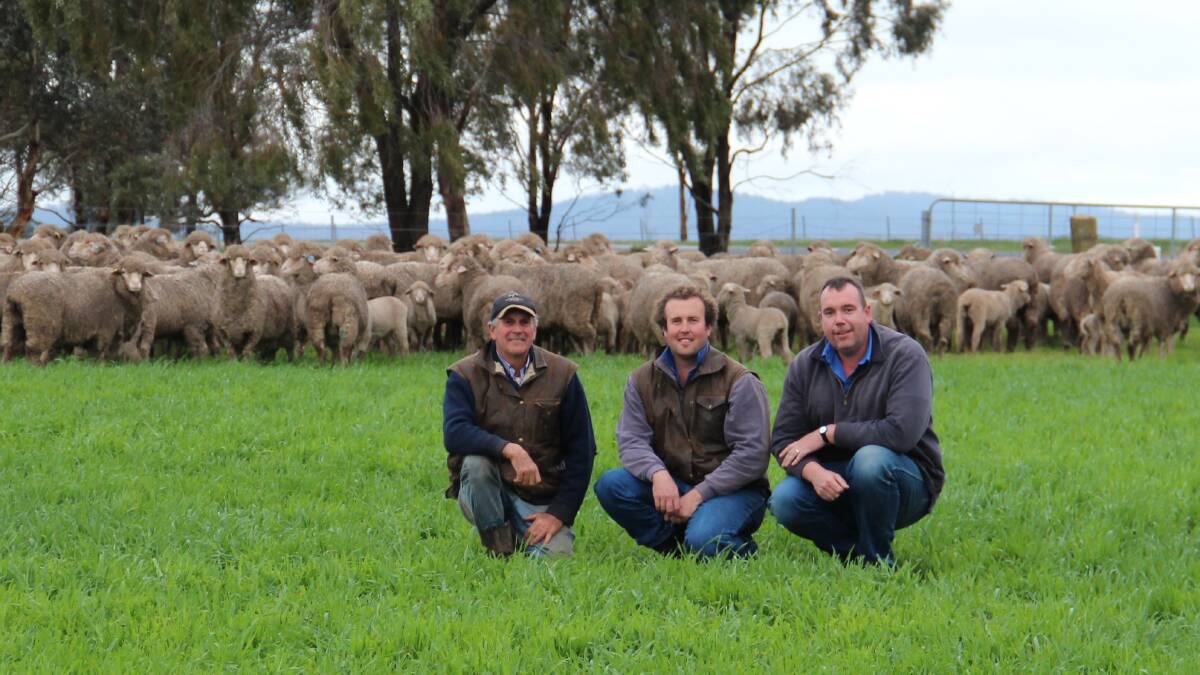 John and Trent Carter, Wallaloo Park Merinos, Marnoo, and Steve Cotton, Dynamic Ag Consulting.