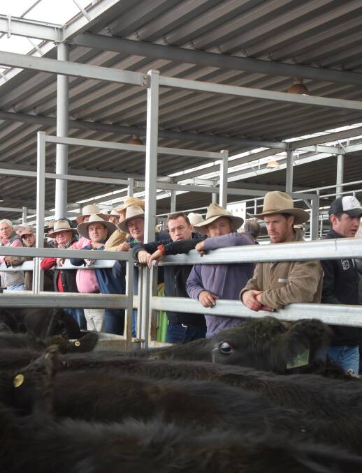 Rain sees prices firm at Wodonga