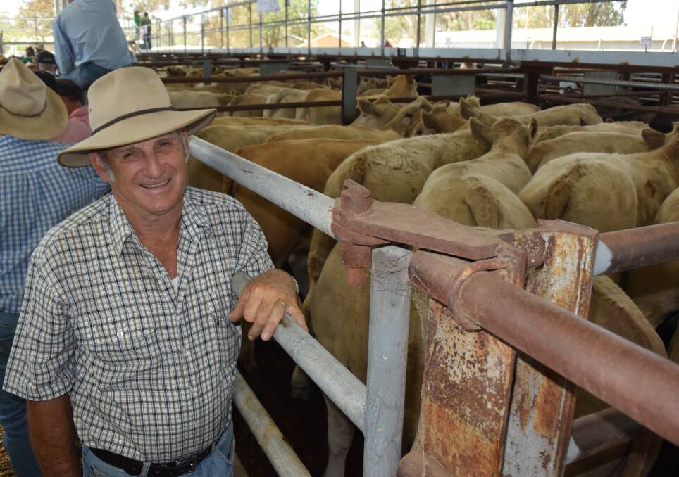 Jim Renkin, Lindsay Park, Lima, had the sale's top-priced steers.