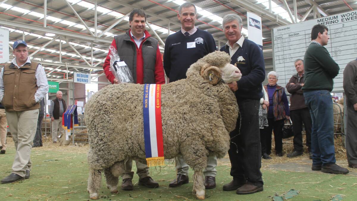 Peter Rogers, Victorian Stud Merino Breeders' vice president, judge Cam Munro and Glendonald's Robert Harding with his grand champion medium wool ram.