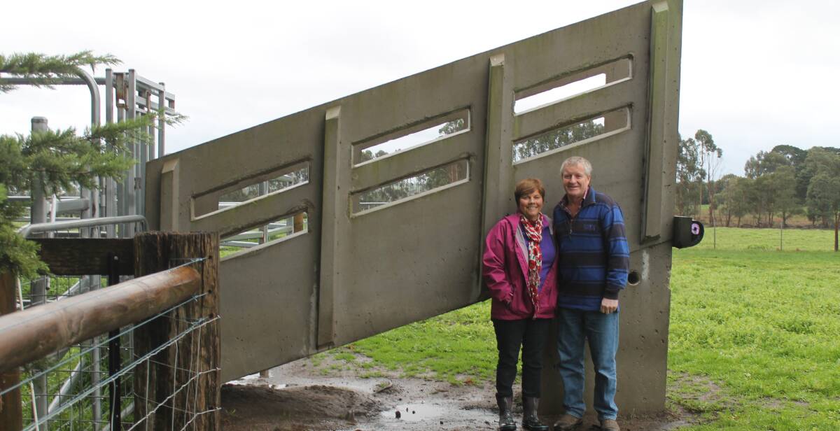 As part of the JBS Farm Assurance program, the Bush family had to have good yards to help prevent the cattle's carcases getting damaged.