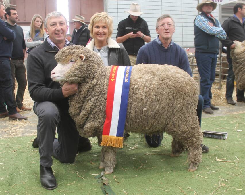 Trevor, Kathy and Peter Mibus, Glenara, Dunkeld, with their grand champion ultrafine ewe.
