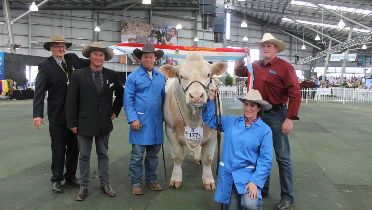Frank Stephens, RASV, judge Brent Fisher, NZ, Glen Waldron and Kim Groner with their Elite Cattle Co grand champion bull, and Roderick Binny, Glenlea Charolais.