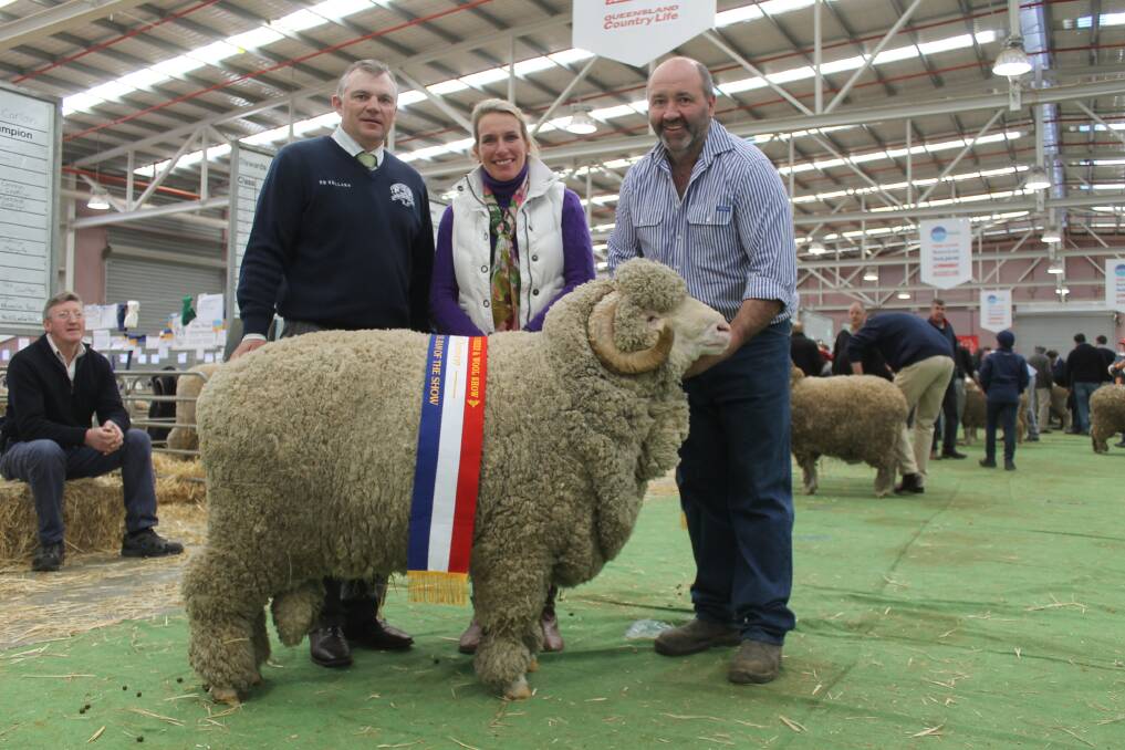 Judge Phil Carlon, Queenlee stud, and Georgina Wallace, AASMB president, awarded Merino grand champion ram  to Peter Lette, Conrayn stud, Berridale, NSW.