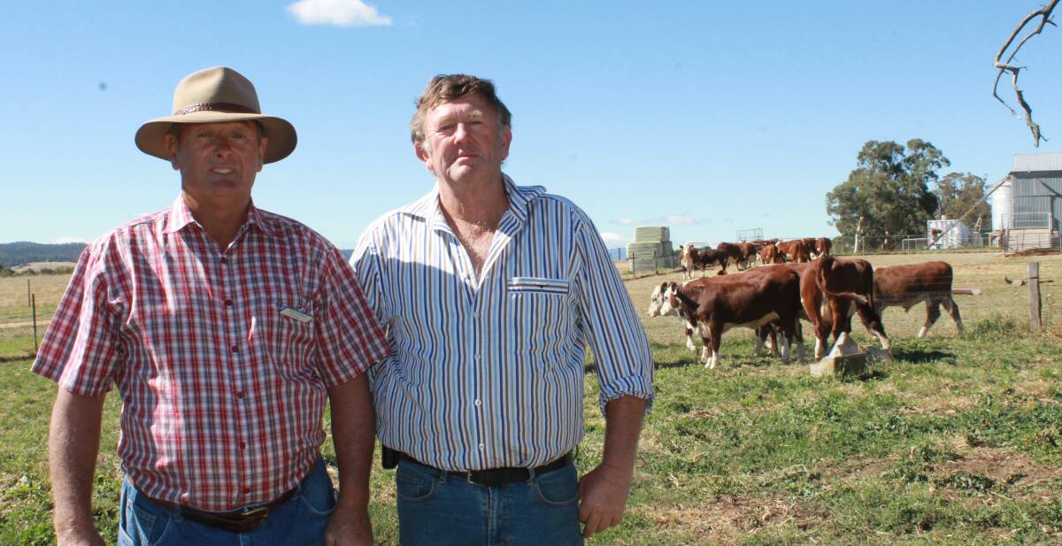 Rosstulla Poll Hereford stud's Rex Forrest (left), Beechworth, with repeat buyer and commercial operator John Mathison, Whorouly, at last year's Beef Week.