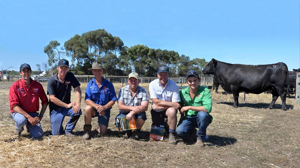 With the top-priced female Coolana Tearful G216 are Coolana's Martin Beltrame (left), Ben and Mark Gubbins, buyer Damien Gommers, Mandayen stud, Keith, SA, and his agent, Rodney Dix, Spence Dix & Co, Keith; and Max Gubbins.