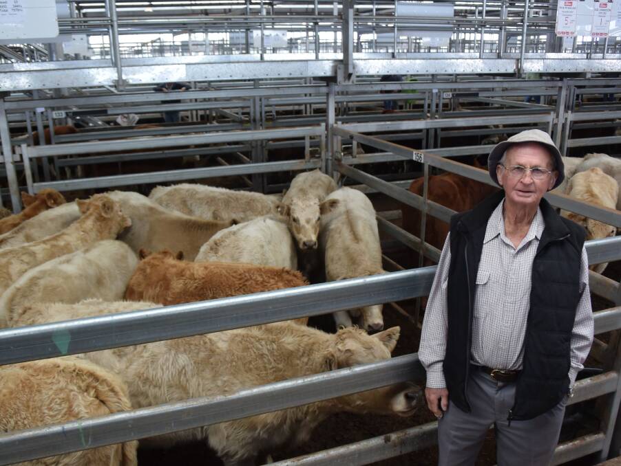 HAPPY: Graham Schulz, Morven, was confident he bought the best pen of the sale – 22 Charolais-Angus steers, Rangan blood, 344kg, that he secured for $1134.