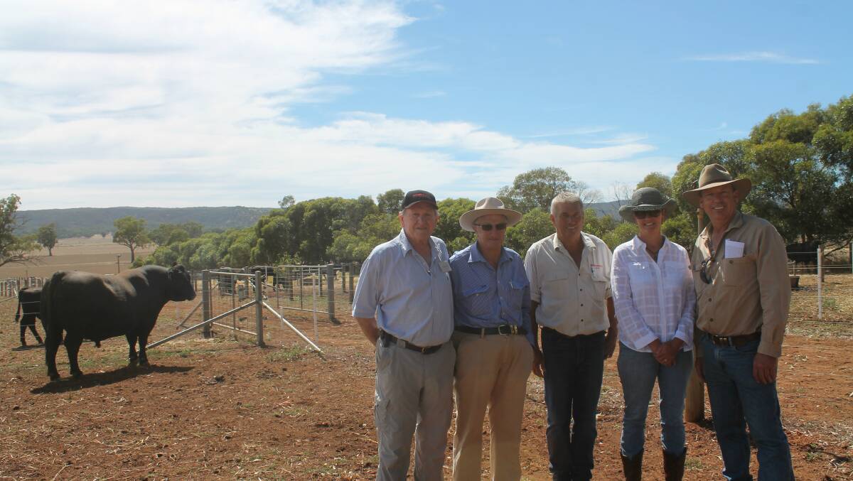 Beef cattle studs in north east Victoria, and one from Tasmania, welcomed people on-farm to inspect their animals.