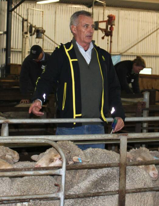 Stuart Hodgson, AWI, presented the practical sheep classing work shop.