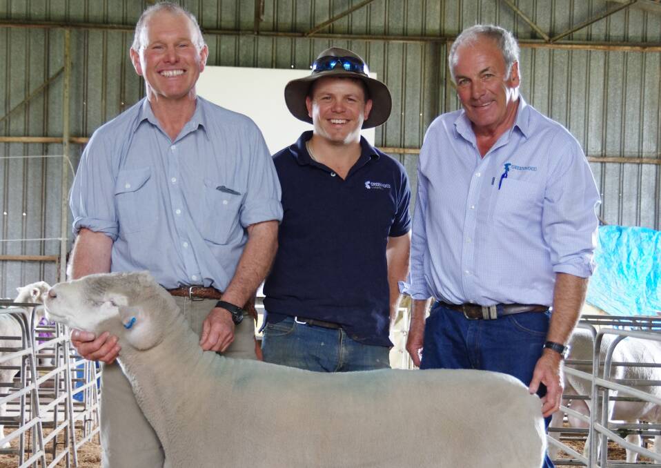 Stud principal Kelvin Sundermann, Scott Langley (representing the buyers) and Greenwood Livestock's Ian Baker, with the top priced ram.