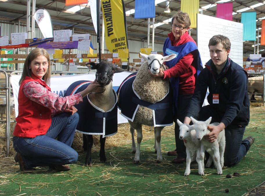 Deva Weitman, Blue Rock Suffolk stud, with last year's supreme short wool ewe, and Carol Jackson and Will Schilling with the supreme long wool ewe from Two-Dot Station stud, Moyston.