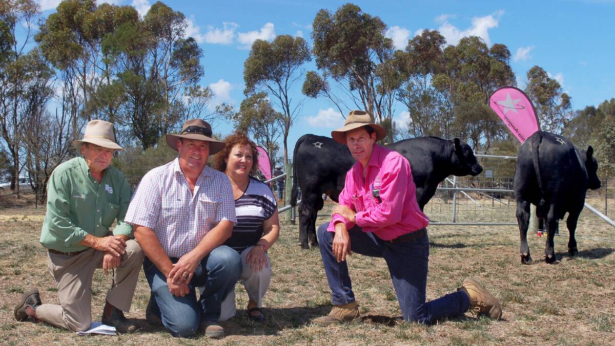 4.	Siblings John and Marisa Bergamin, Bergamin Pastoral Co, Willow Grove, Vic purchased strongly at the Te Mania bull sale, picking up four bulls to $11,000 and at a $10,000 average. They are pictured with two of their purchases in the background, their buying agent Peter Brewer (left), Landmark Pakenham, and Te Mania co-principal Hamish McFarlane (right).