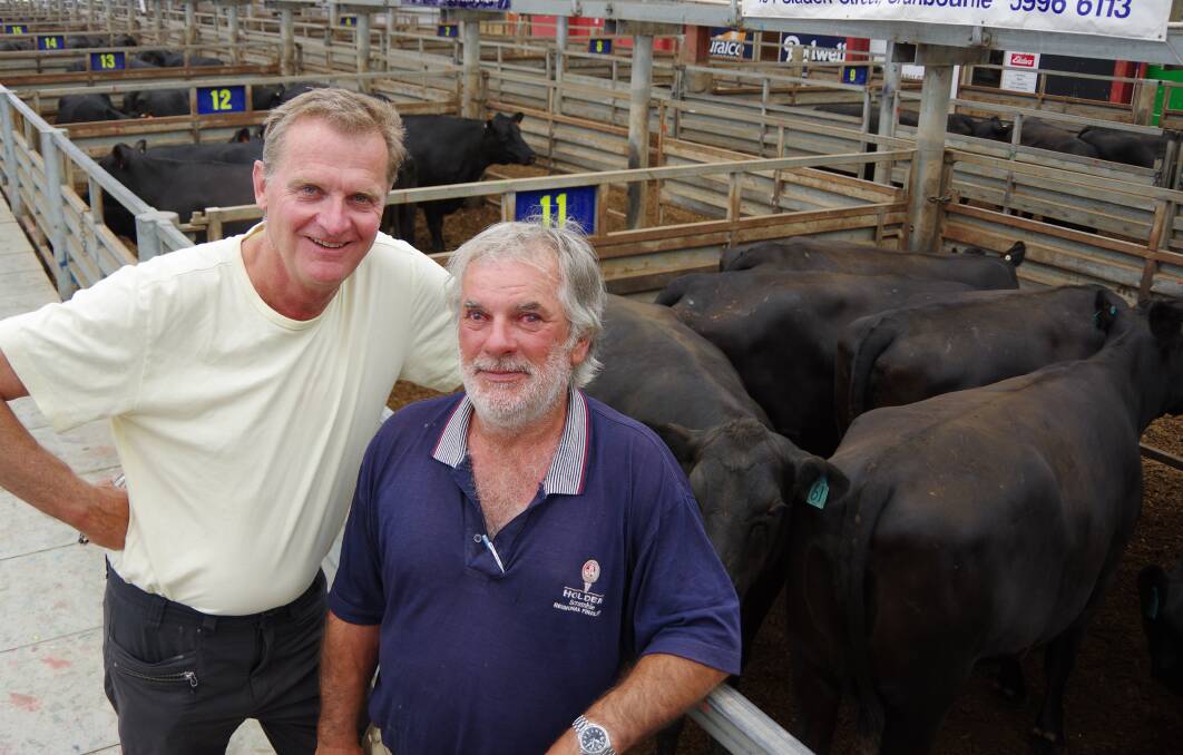 Dr Chris Holland and Jeff Wilson of Aeolus Nominees, which has sold heifers at the Pakenham female sale for 25 years. On Friday, their 2.5yo PTIC heifers made to $2700 twice.