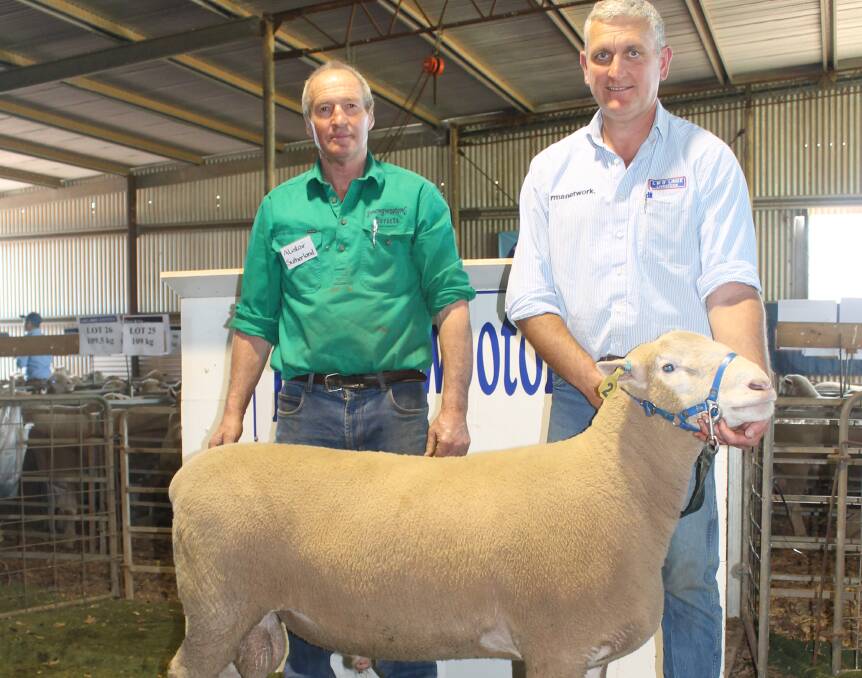 Konongwootong principal Alistair Sutherland and Bernie Grant, LMB Linke Livestock Hamilton, with one of the sale toppers, Lot 2.
